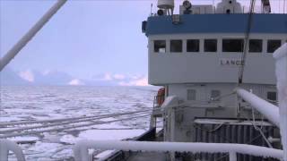 [Swedish] Aboard the icebreaker Lance - Svalbard expedition