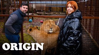 Living With Lions For 72 Hours | Stacey Dooley Sleeps Over