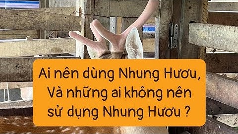 Giá Nhung Hươu |Ai nên dùng Nhung Hươu và ai không nên dùng Nhung Hươu |Trang Trại Hươu Sao Tín Tài