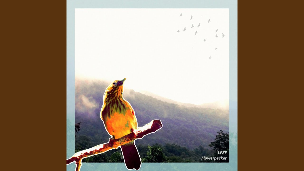 Watch Flowerpecker on YouTube Watch Flowerpecker on YouTube