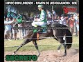 SECRETO en PAMPA DE LOS GUANACOS (01-03-2020)