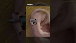 Attack on #Trump: unprecedented 3D reconstruction of the bullet in slow motion #geopop #shorts