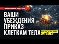 ЗАКОН ПРИТЯЖЕНИЯ, РАБОТАЮЩИЙ ВНУТРИ ВАШЕГО ТЕЛА. ОБРЕТАЕМ ЗДОРОВЬЕ, ч.1 [2023]