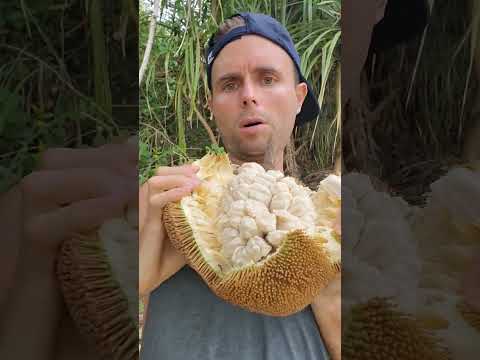 Fruitarian: What I eat in a day
