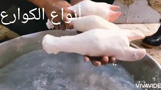 ازاي تشتري الكوارع أنواع الكوارع الشتاء داخله   وتبقي أحلي اكله