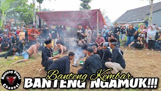 Banteng Kembar Live Made Pacet || Bantengan Ngamuk