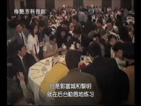 梅艷芳－1993人民大會堂慈善演出報導