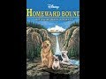 Homeward Bound: The Incredible Journey Movie Review
