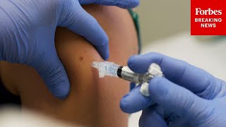 Famous Why The 2025-2026 Flu Season Is Already The Worst On Record Net Worth