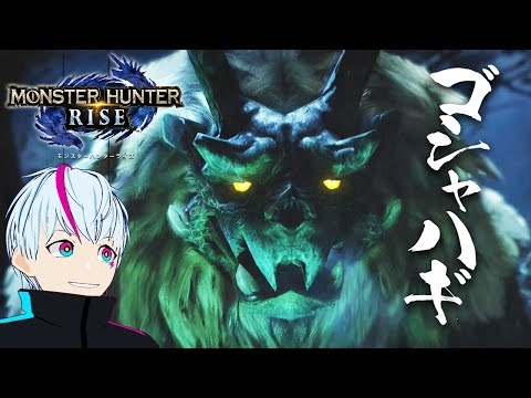 【MHRise】ゴシャハギ初見！包丁二刀流がかっこよすぎる！