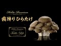 【12月】霜降りひらたけレシピ クリームスープ/ローストビーフ