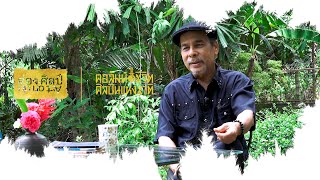 ส่องศิลป์ EP42 คอลัมน์ชีวิตสถาพร ศรีสัจจัง : แรงดาลใจ 1