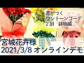 20210308 宮城花卉様 オンラインデモ第２部「差が付くワントーンコーデ鉢物編」｜東京リボンpresents