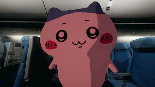 Xiaoba And Usagi Take A Plane