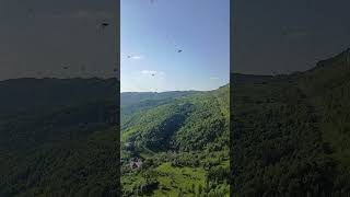 Climber Surrounded by Bees During Ascent