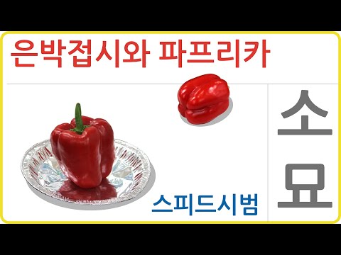 은박접시와 파프리카 소묘 약 2시간20분 스피드시범