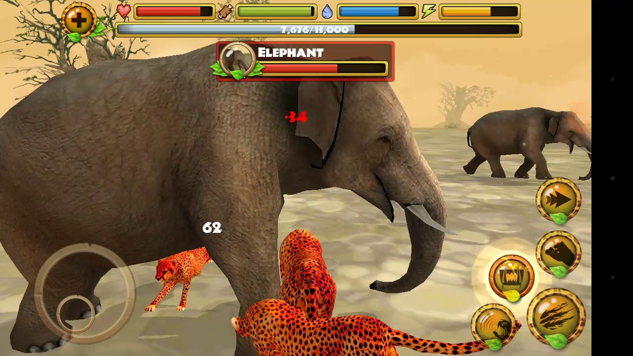 Ultimate cheetah simulator