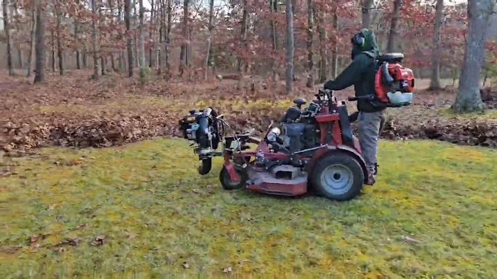 leaf clean up (Redmax EBZ8560)  #lawncare (jrco tool )  ( unmount blower) #redmax #fall