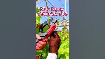 Bộ dụng cụ buộc cành tự động, bộ kìm buộc chanh dây, cà chua, nho#kimbuoccanh #kimbuocchanhday