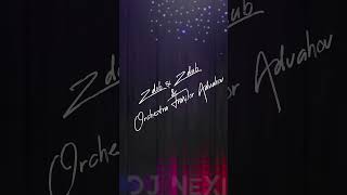 Zdob și Zdub & Orchestra Fraților Advahov -Trenul (Bootleg)