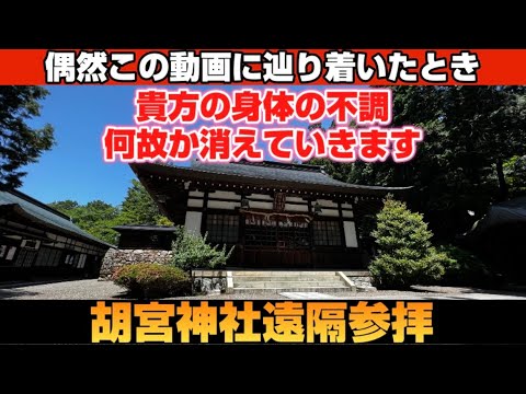 【胡宮神社】心身の健康を願う方は必見✨多賀大社の別宮の凄い御利益！