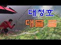 대청호 대물 들 / 육촛대 떡밥낚시  / 싱카 실전낚시 / 죽림의 하늘바라기