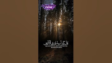 #qurankareem #peaceful #تلاوة_خاشعة #راحة_نفسية #طمأنينة_القرآن