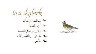 شرح مبسط لقصيدة سكايلارك بالعراقي  To a skylark