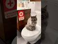 Donut On Duty 