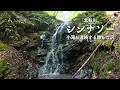 沢はじめにオススメ！北秋川シンナソー【沢登り】