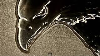 U.S. Mint 2021 Silver Eagle Reverse Proof Set! 100x Magnification
