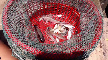 #3 Thăm 12 Cửa ngục và cái kết