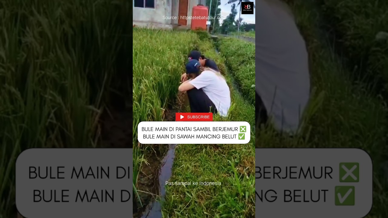 Reaksi bule ketika mancing belut di sawah Indonesia 