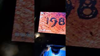 New mint error penny 1987p ddo ddr subscribe share  👍 leave comment.
