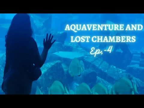 Aquaventure Waterpark | The Lost Chambers Aquarium | Dubai Gold Souk | World biggest gold ring#dubai
