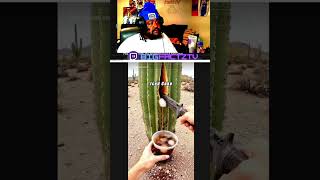 Ai food reaction 🤢😂 #ai #aireaction #aishorts #likeandsubscribe #shortfeed #goal1ksubscribers