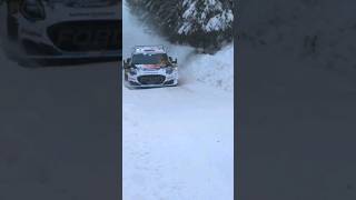 Wrc Rally Sweden 2024