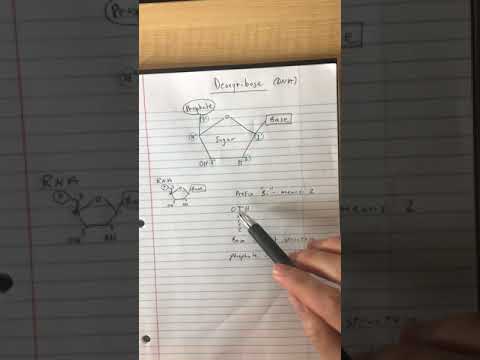 How to Remember the 5 Carbons of the Sugar on a Nucleotide