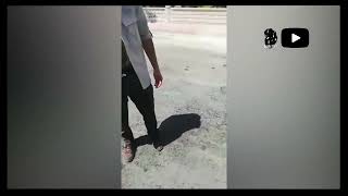 Konyada Akpye Tepki Gösteren Kadına Vekil Korumaları Müdahale Etti