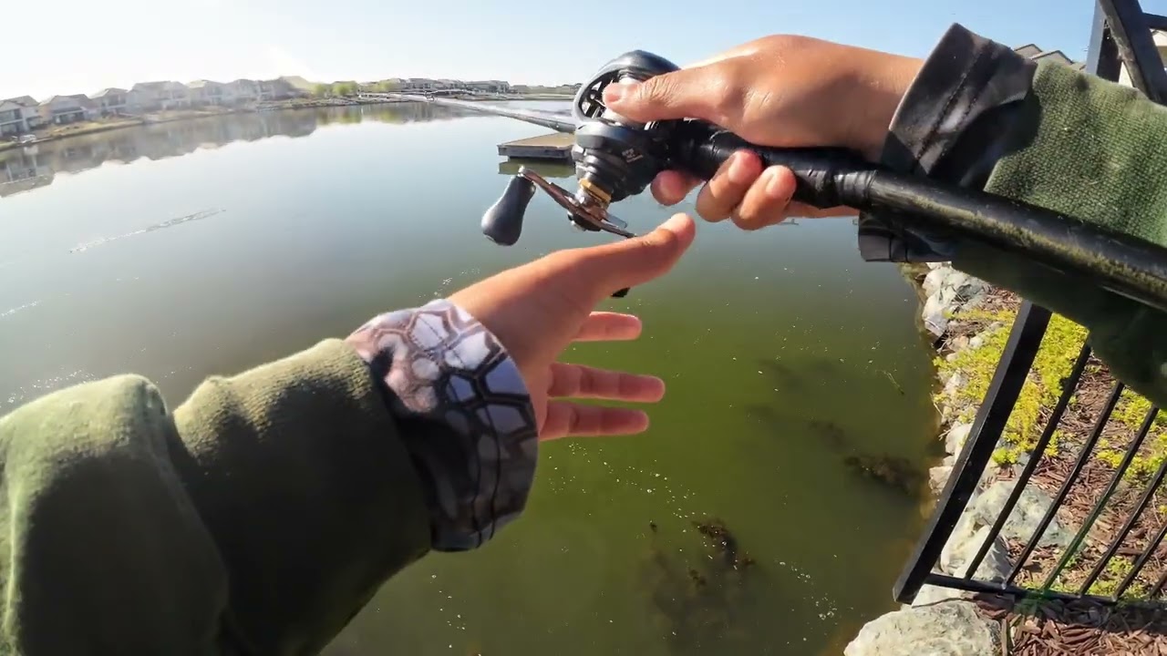 Urban pond fishing