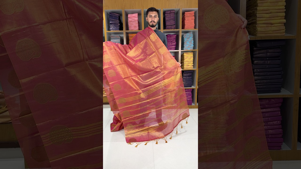 Royal Tissue Silk Zari Weaving & Mango Border Saree