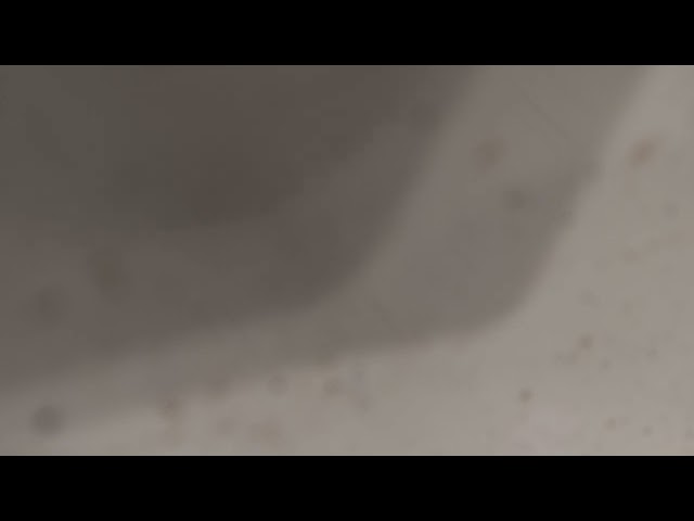 Letay - Äâà ³êíà