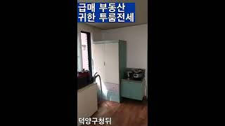 수도권 고양시화정동귀한 큰 투룸전세