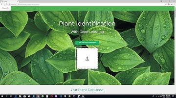Plant Identification with Deep Learning Demo Spring