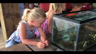 Touch Tank Tuesday
