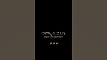 سورة القمر / القارئ الشيخ أحمد النفيس / تلاوة خاشعة ومؤثرة تريح سمعك