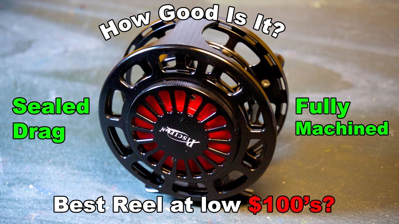 Piscifun Platte Review - Best Reel For Low $100's On the Market? - McFly  Angler Gear Reviews 