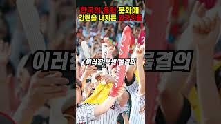[해외반응] 한국의 응원 문화에 감탄을 내지른 외국인들