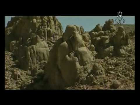 الغابة المتحجرة في الجزائر Youtube