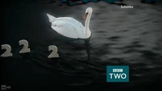 Bbc2 Swan